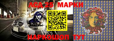 прущие крисы Кандалакша