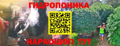 прущие крисы Кандалакша