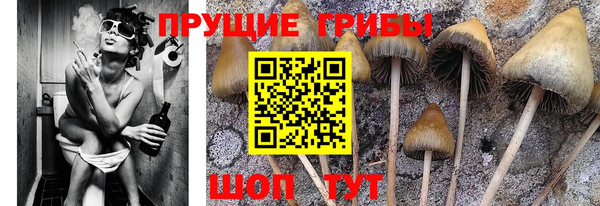 Галлюциногенные грибы Magic Shrooms Лесной